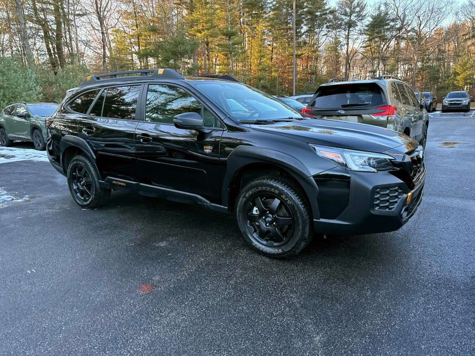 2025 Subaru Outback Wilderness's photo