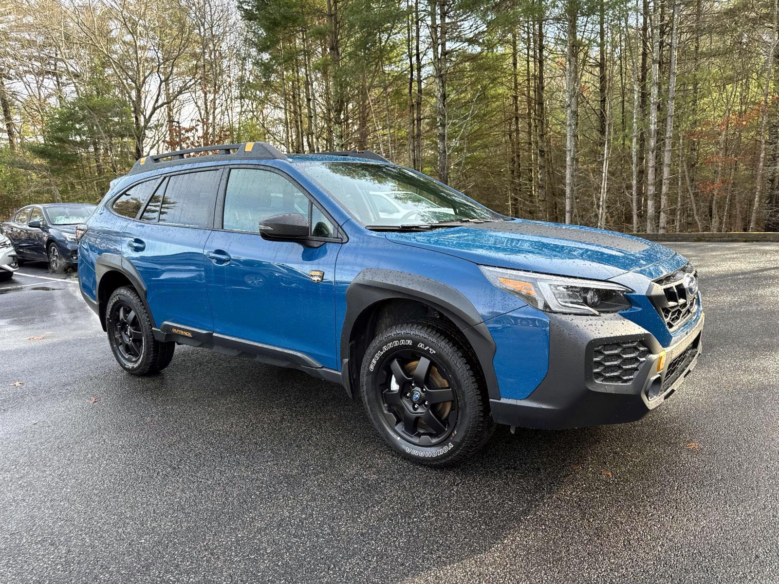 2025 Subaru Outback Wilderness's photo