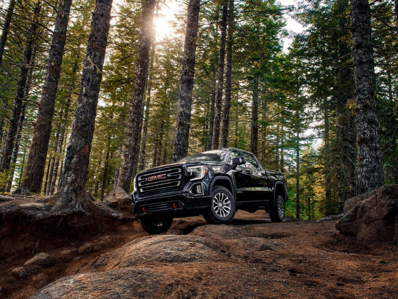 GMC Lifestyle 2021 GMC Sierra 1500 standing inside a forest
