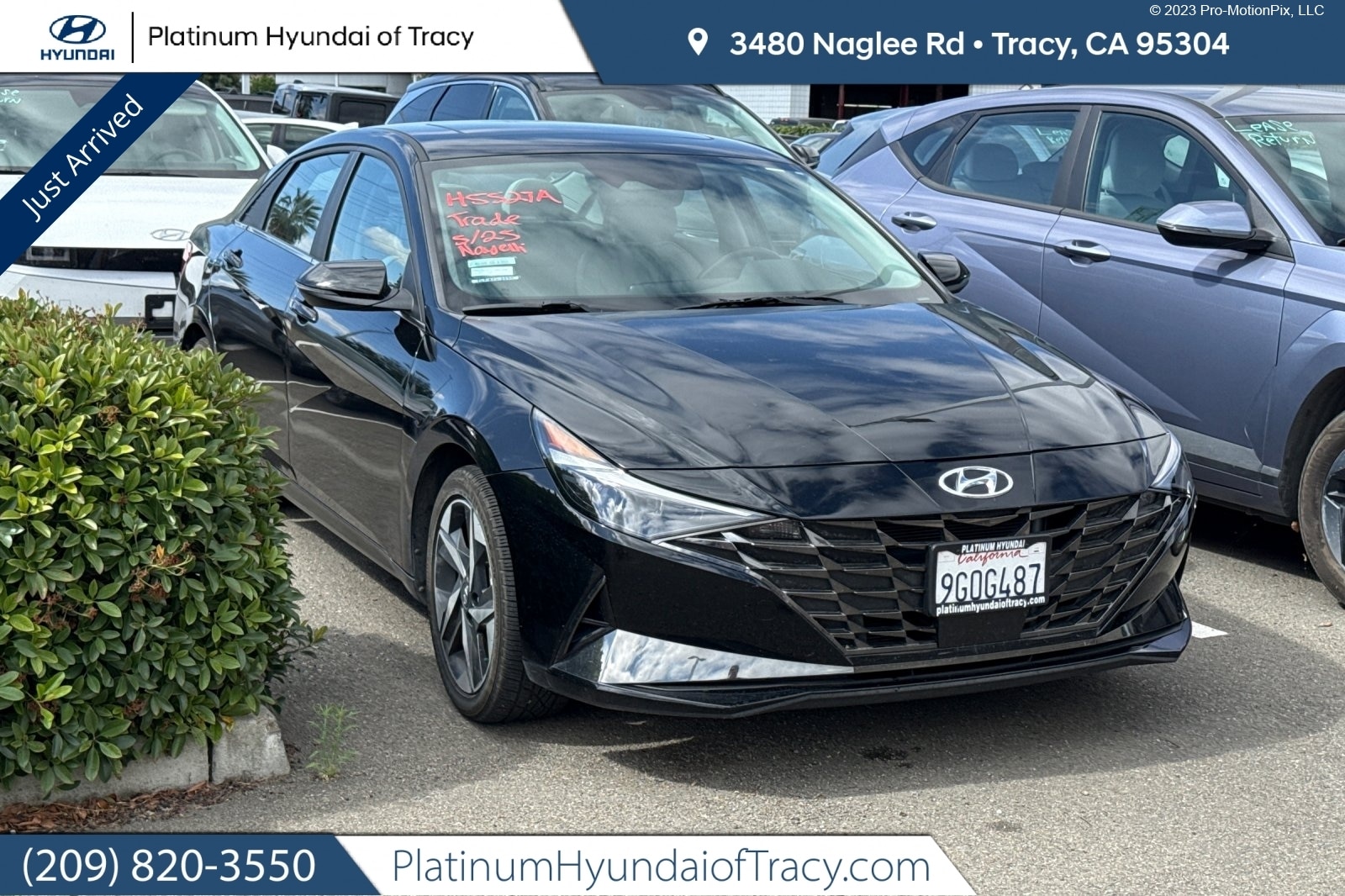 2023 Hyundai Elantra 1.6 HEV Limited DCT's photo