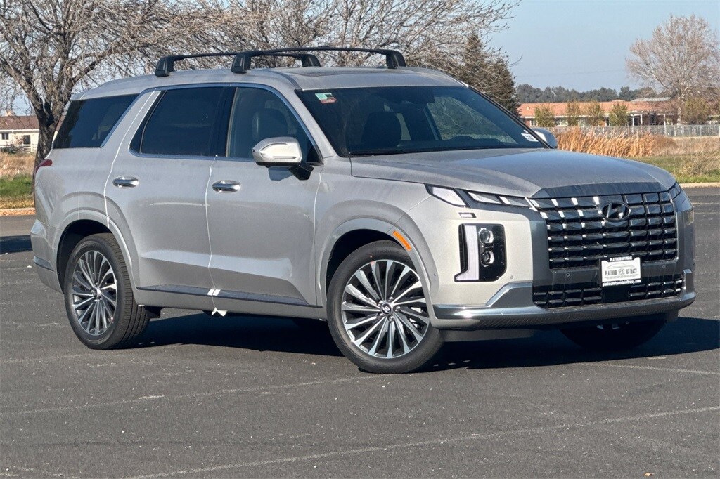 2025 Hyundai Palisade Calligraphy photo 2