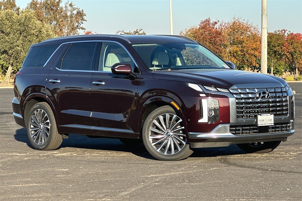 2023 Hyundai Palisade Calligraphy photo 2