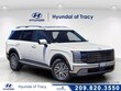  Hyundai Palisade Hybrid