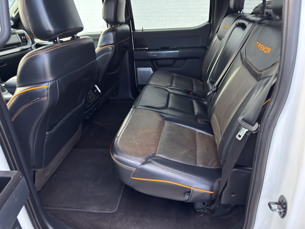 2022 Ford F-150 Tremor - Photo 6