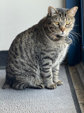 Staff member Bo from ID_ba03e67d7771