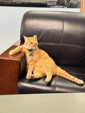 Staff member Wallace from ID_61bf2395299e