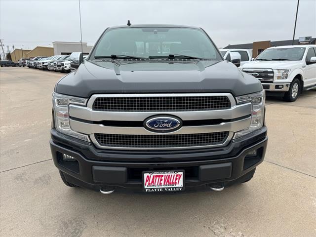 2019 Ford F-150 Platinum photo 2