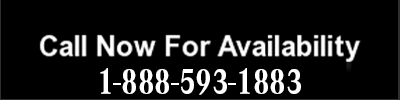 Call Plaza Motor Company for Availabilty