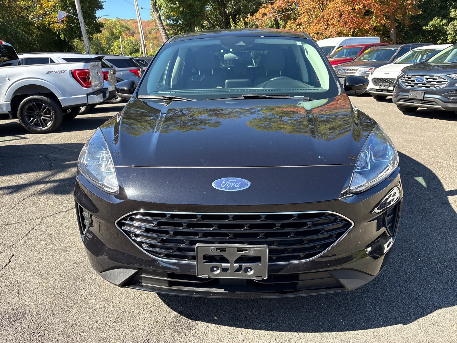 2021 Ford Escape SE photo 2