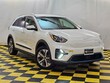  Kia Niro EV
