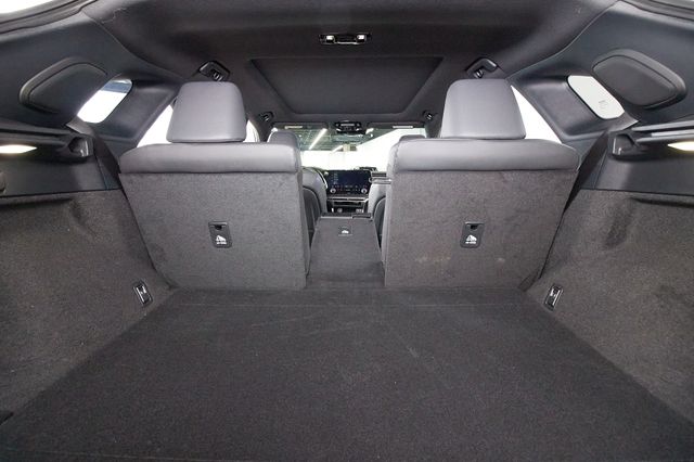 2025 Lexus RX Hybrid 350h - Photo 20