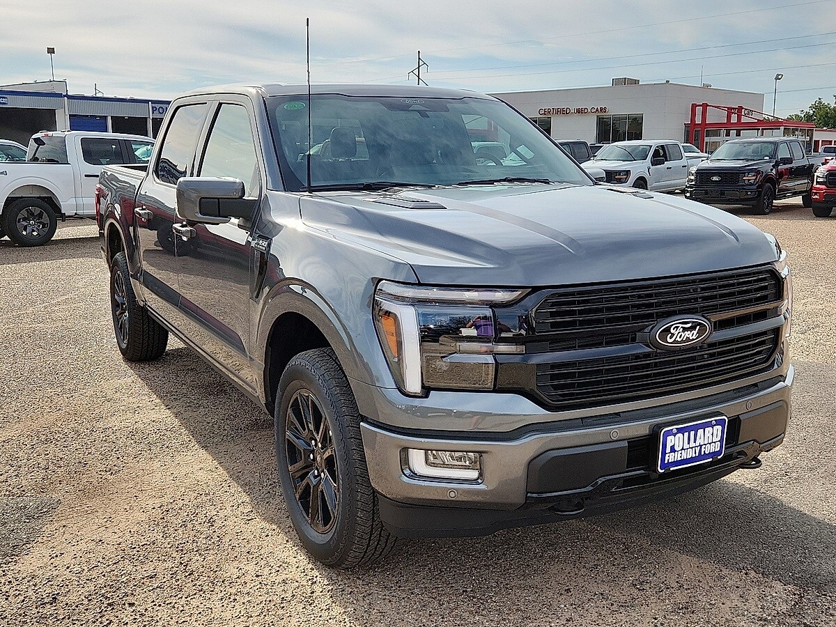 2025 Ford F-150 Platinum photo 4