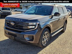 2025 Ford Expedition Active SUV