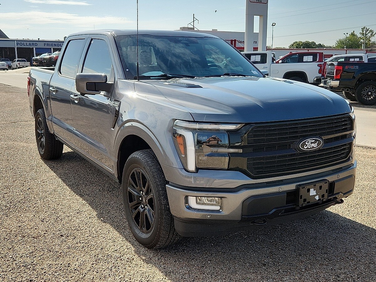 2024 Ford F-150 Platinum photo 3