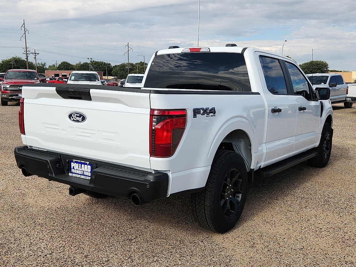 2025 Ford F-150 STX FX4 photo 3