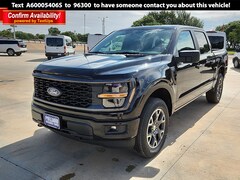 2025 Ford F-150 STX Truck