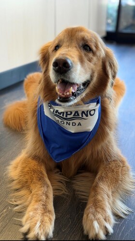 Staff member Harley from ID_d7a261