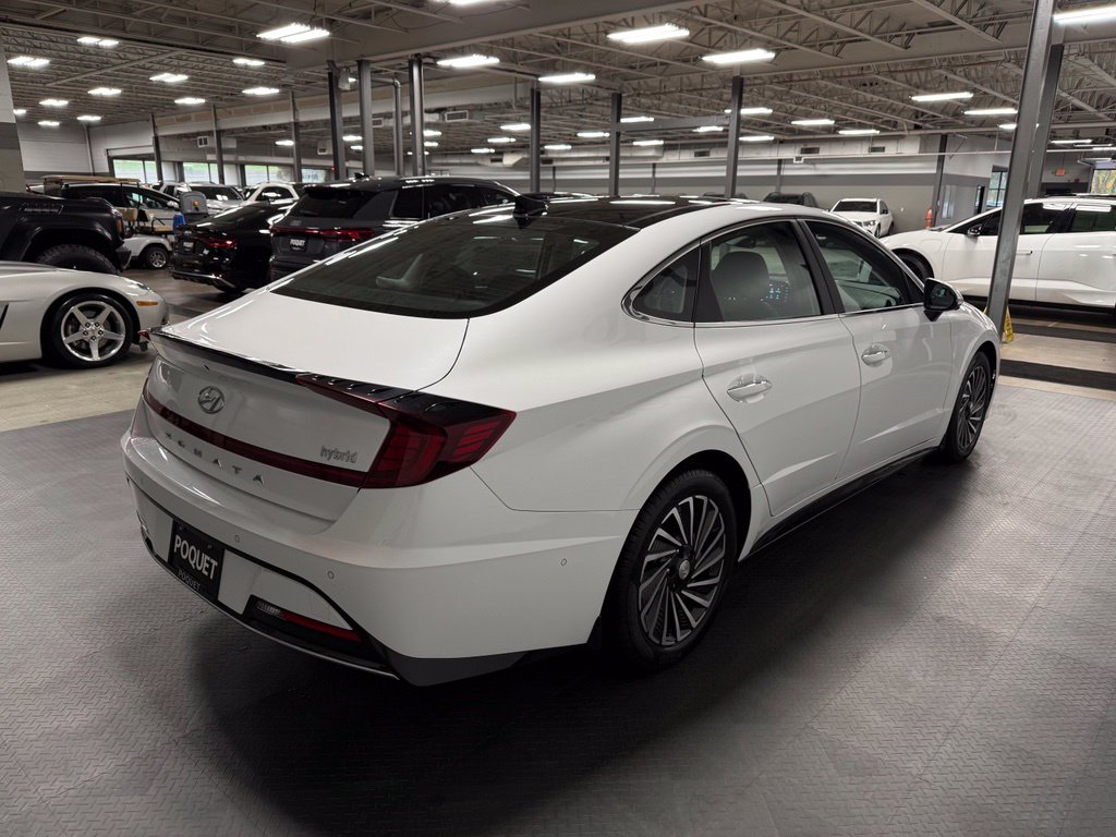 Used 2023 Hyundai Sonata Hybrid Limited Sedan