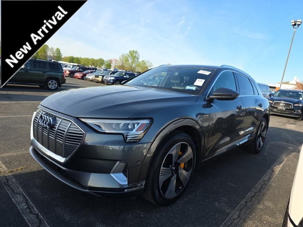 2019 Audi e-tron Prestige's photo