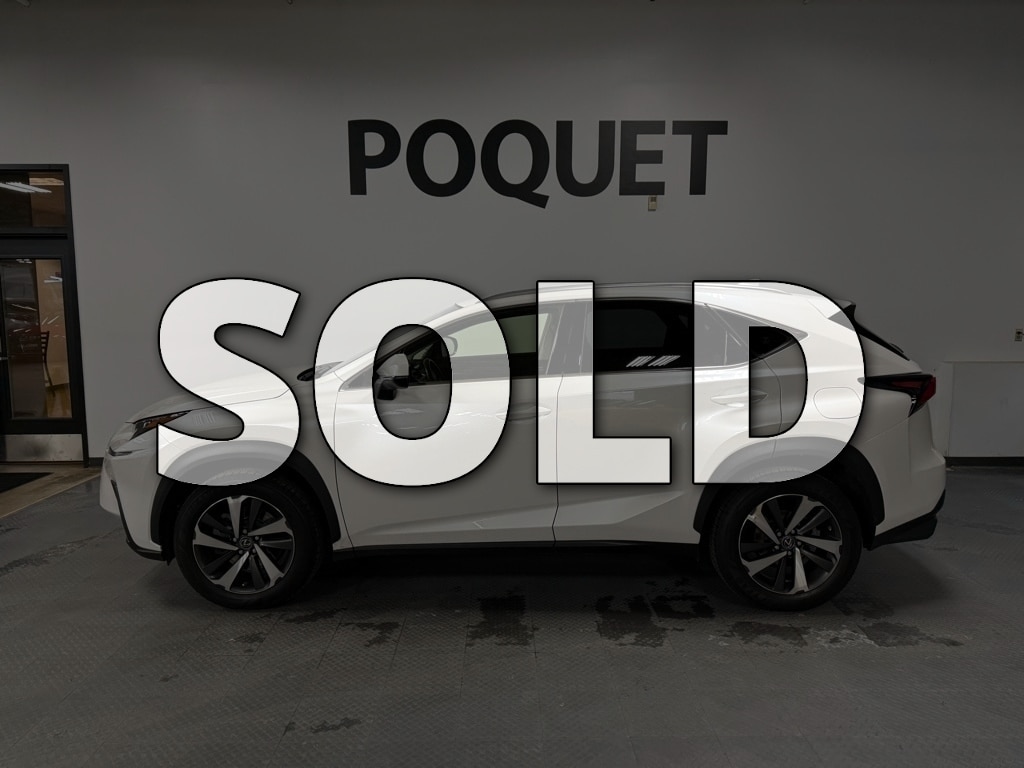 2019 Lexus NX Base's photo