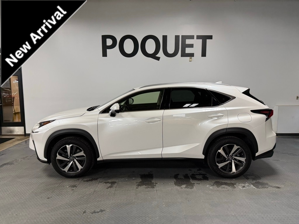 2019 Lexus NX 300's photo