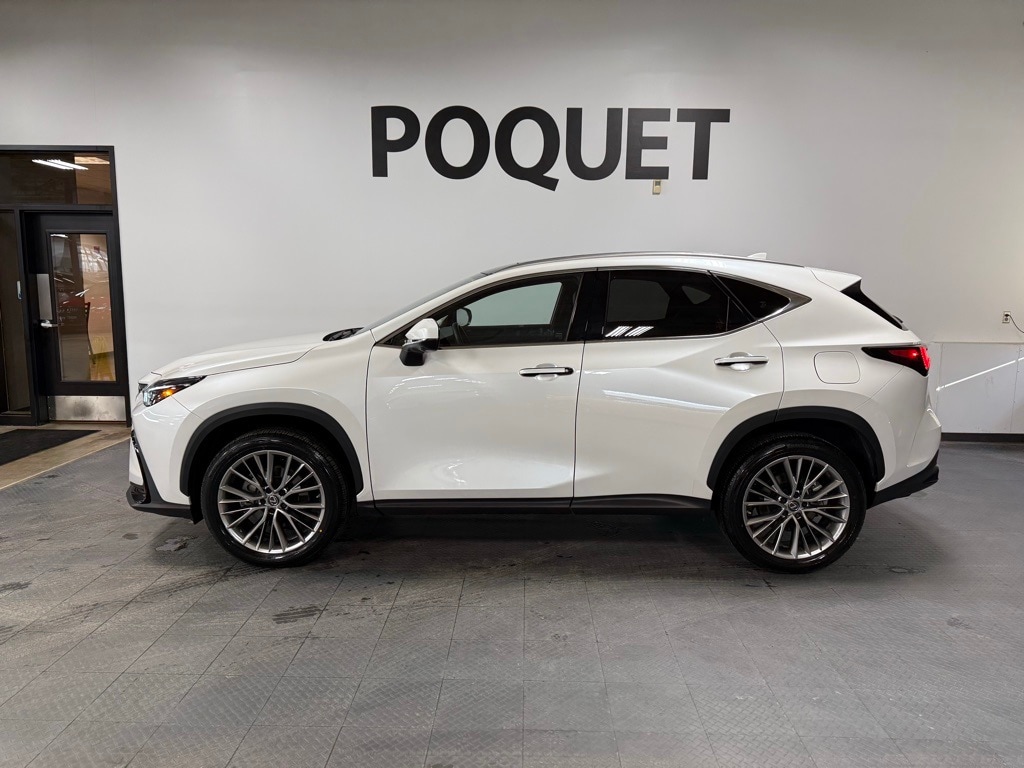 2022 Lexus NX 350's photo