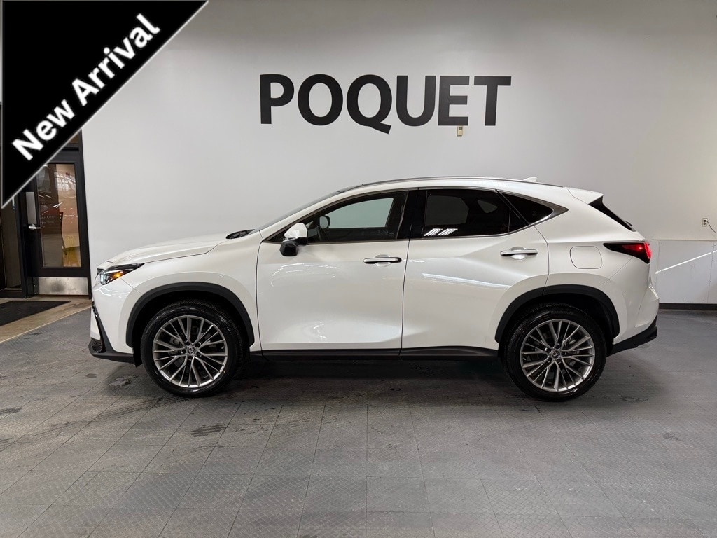 2022 Lexus NX 350's photo