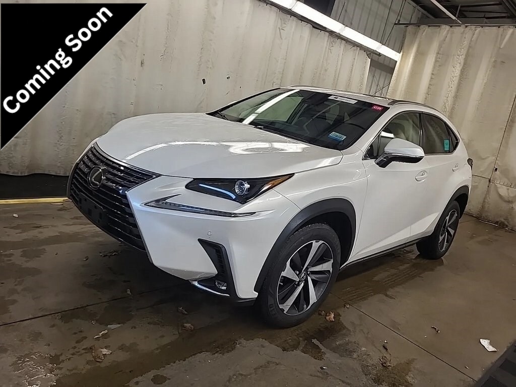 2019 Lexus NX 300's photo