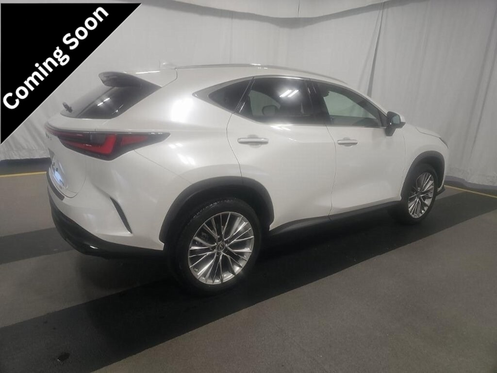 2022 Lexus NX 350's photo
