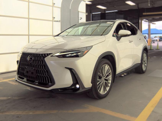 Used 2025 Lexus NX 350h Luxury SUV