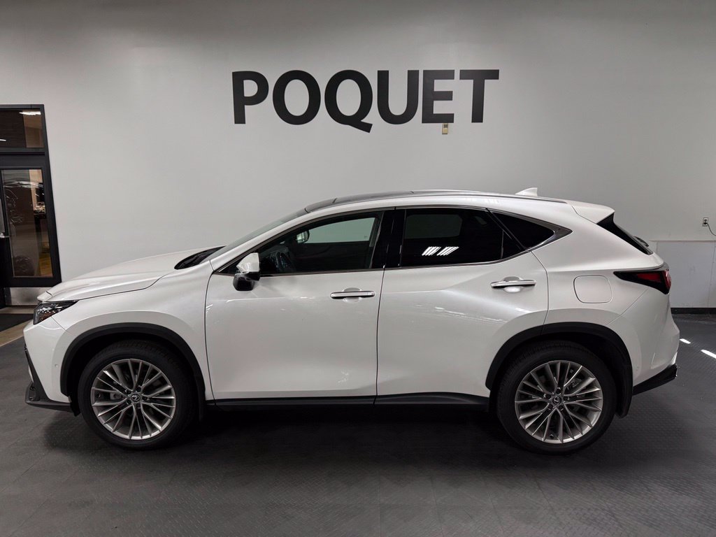 2025 Lexus NX Hybrid 350h