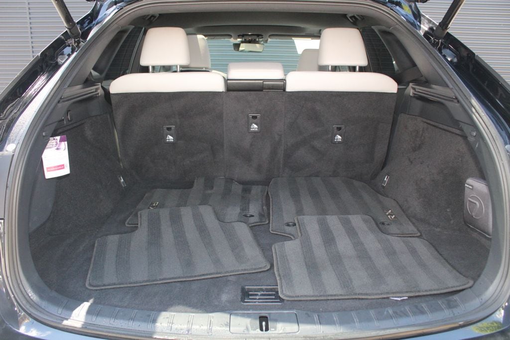 2024 Lexus RX 350 - Photo 12