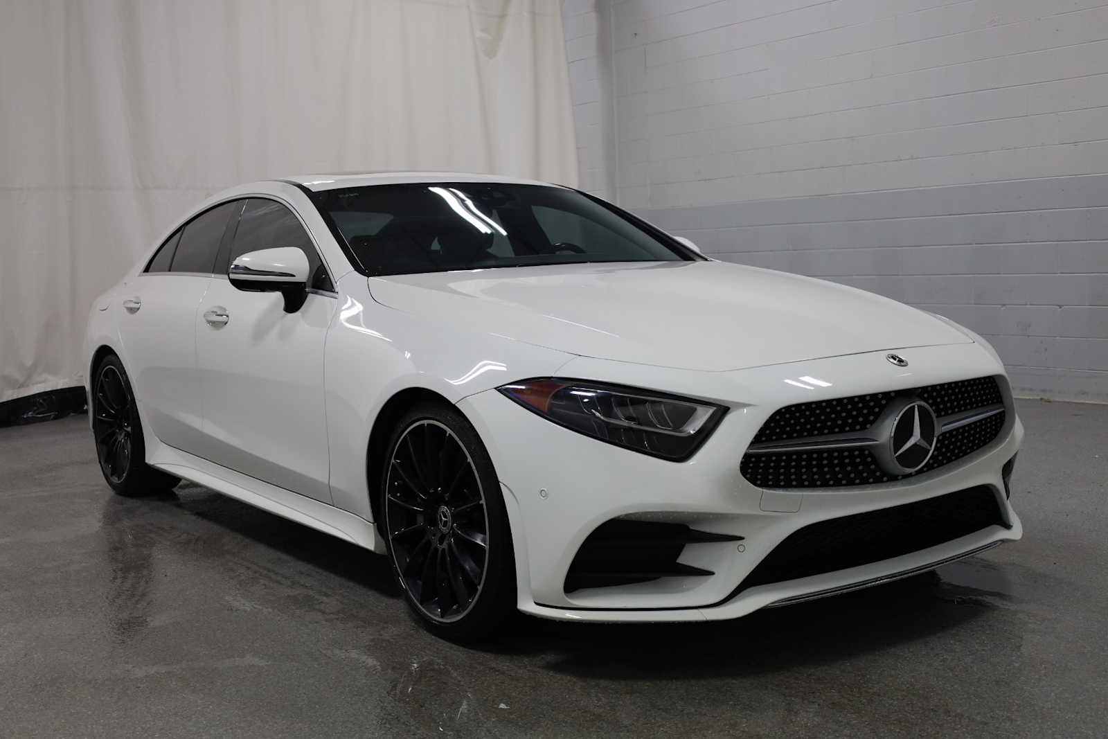 Thumbnail: 2019 Mercedes-Benz CLS - 13