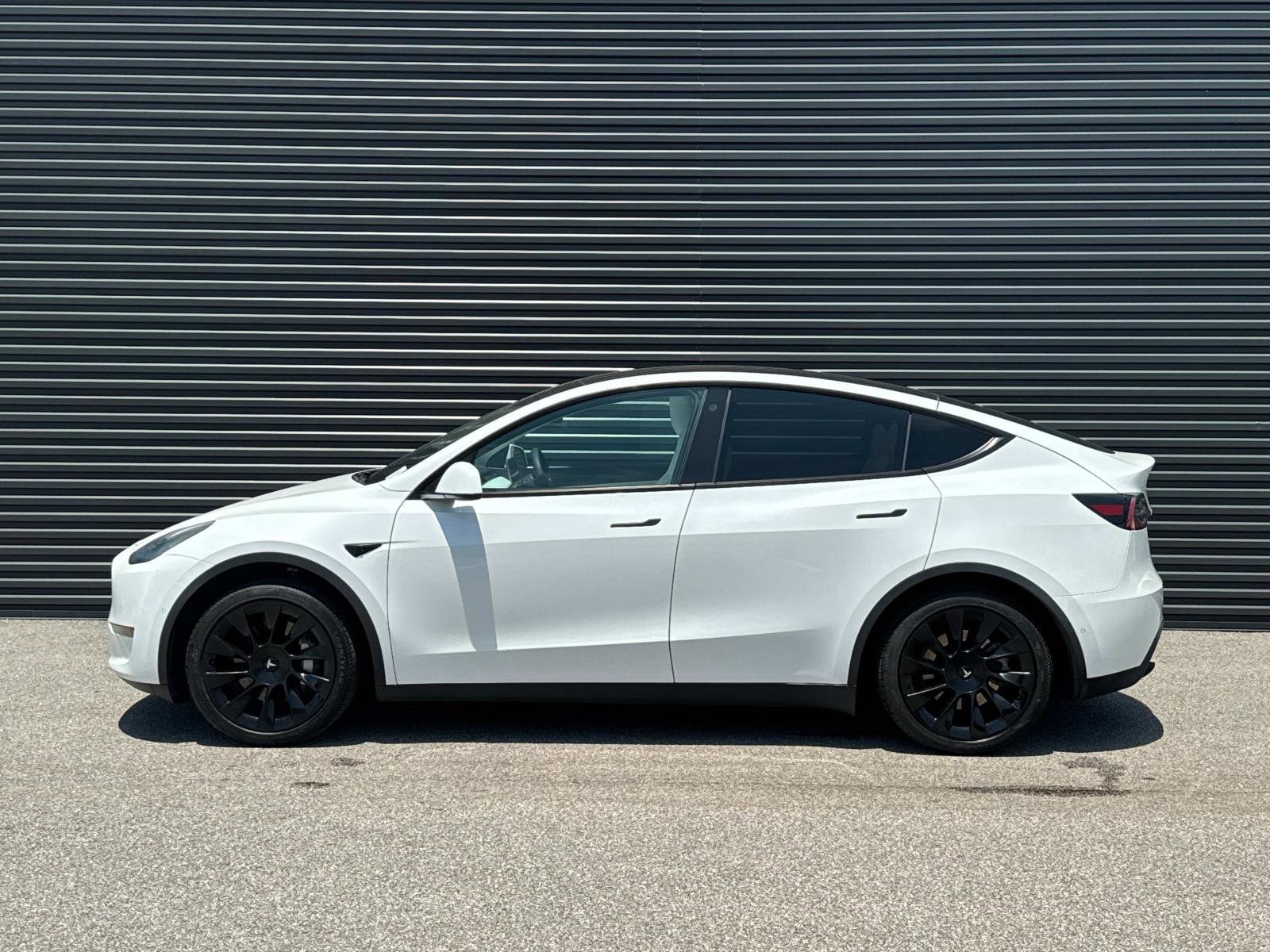 Used 2021 Tesla Model Y Standard Range with VIN 5YJYGDED3MF174976 for sale in Jacksonville, FL