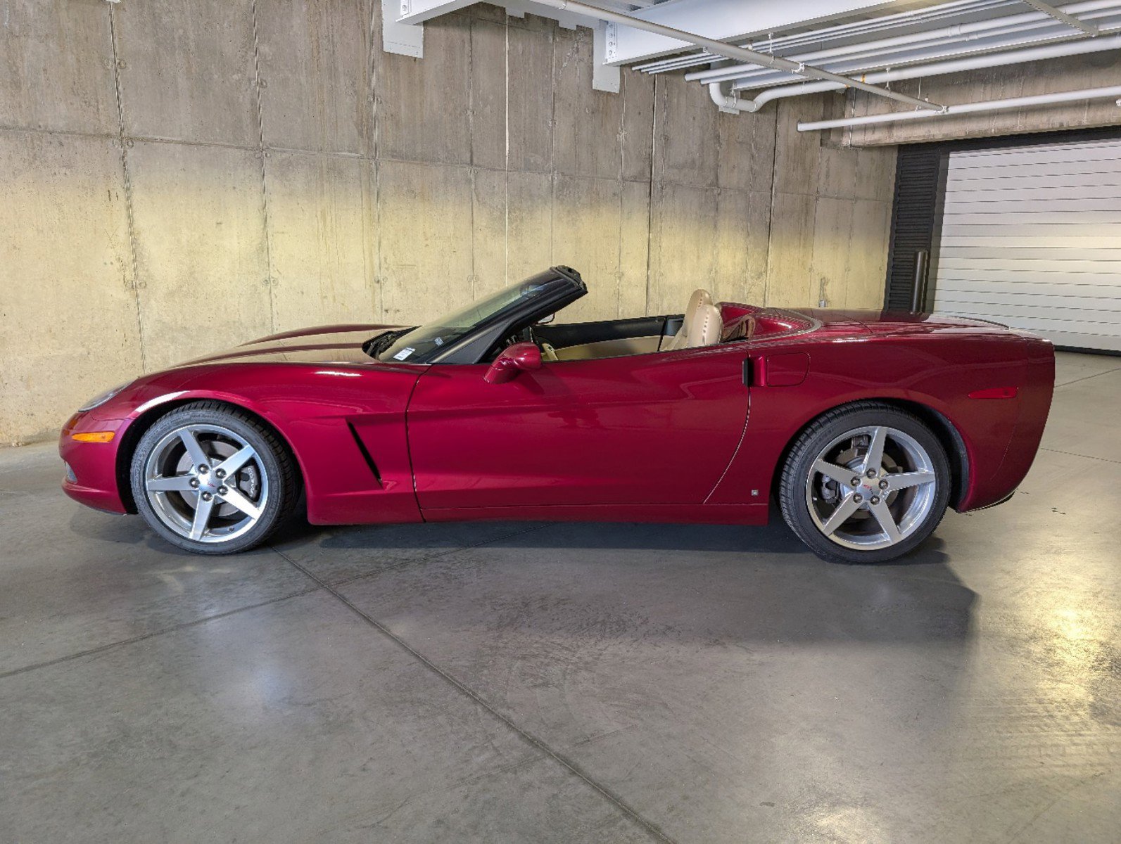 Used 2006 Chevrolet Corvette Base with VIN 1G1YY36U765123855 for sale in Littleton, CO