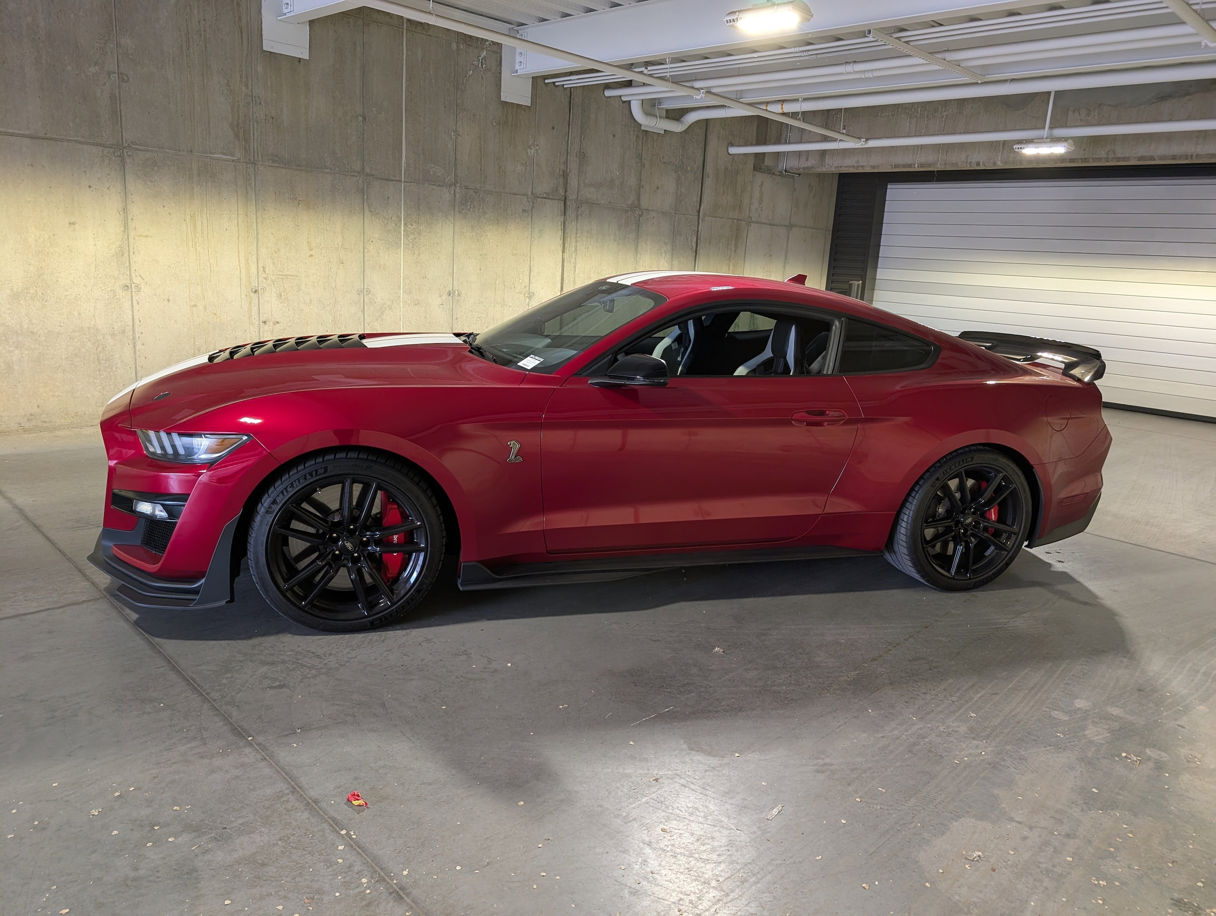 Used 2021 Ford Mustang Shelby GT500 with VIN 1FA6P8SJ4M5502051 for sale in Littleton, CO