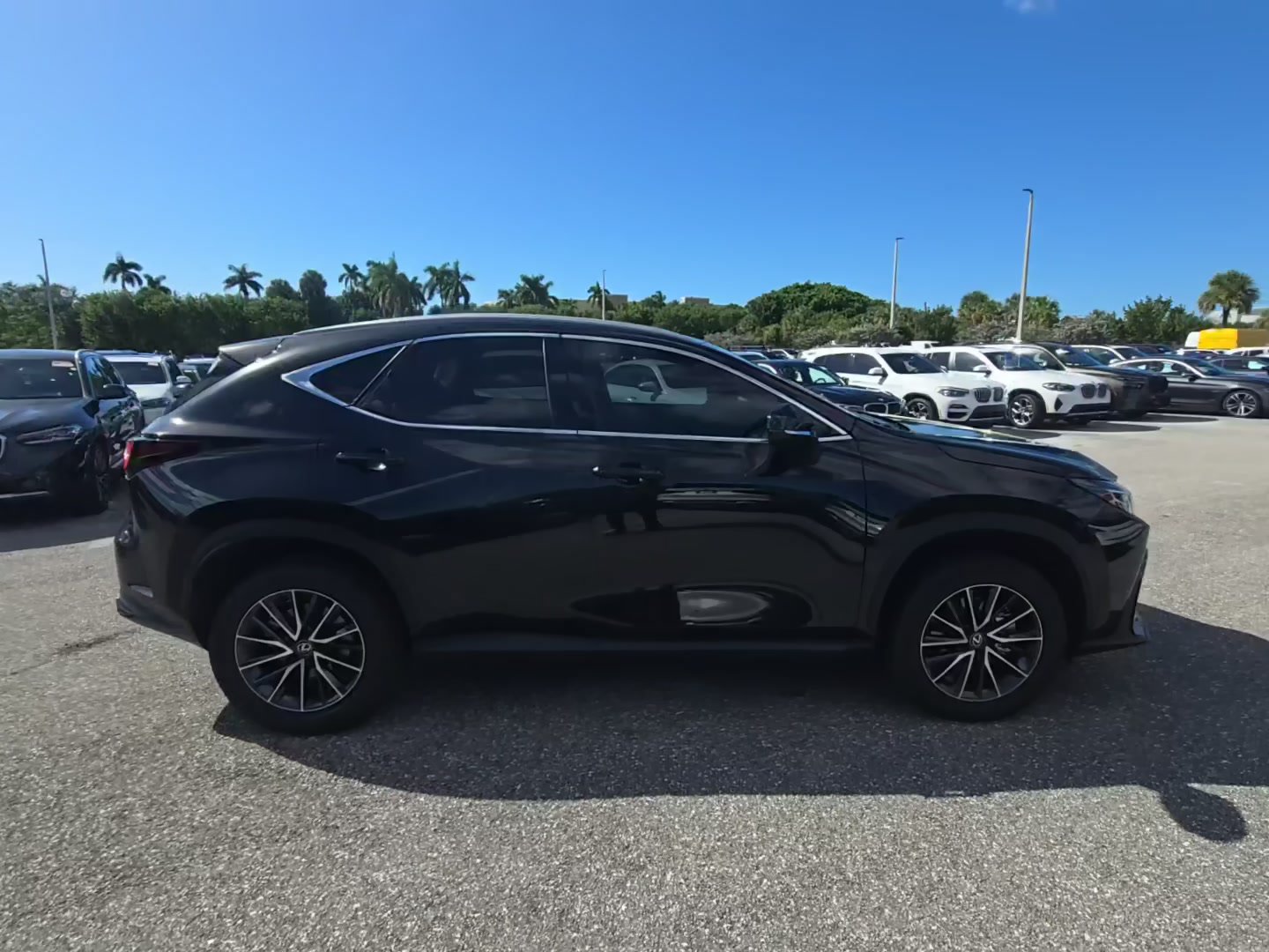 Used 2024 Lexus NX 250 SUV