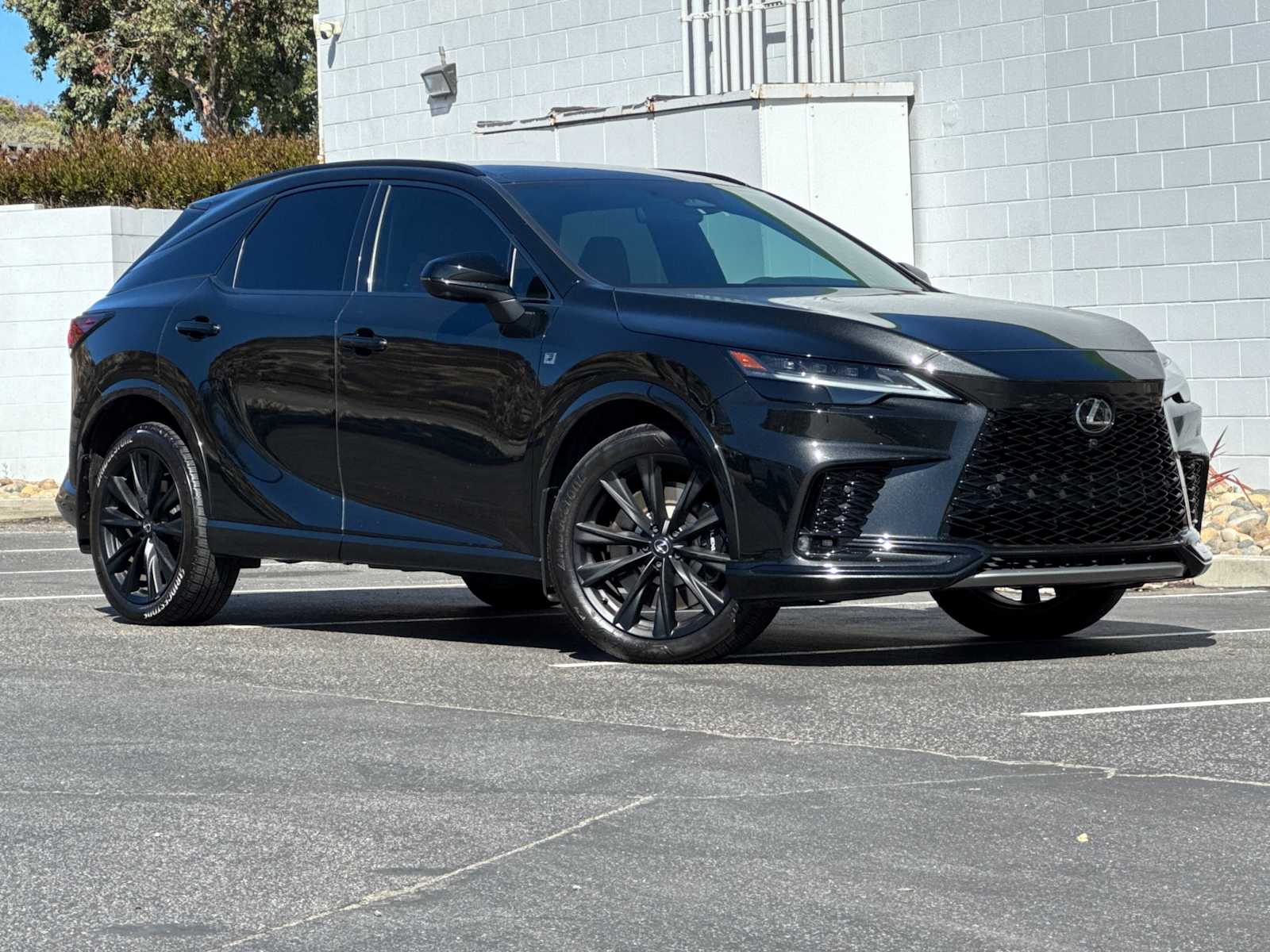 Thumbnail: 2023 Lexus RX - 10
