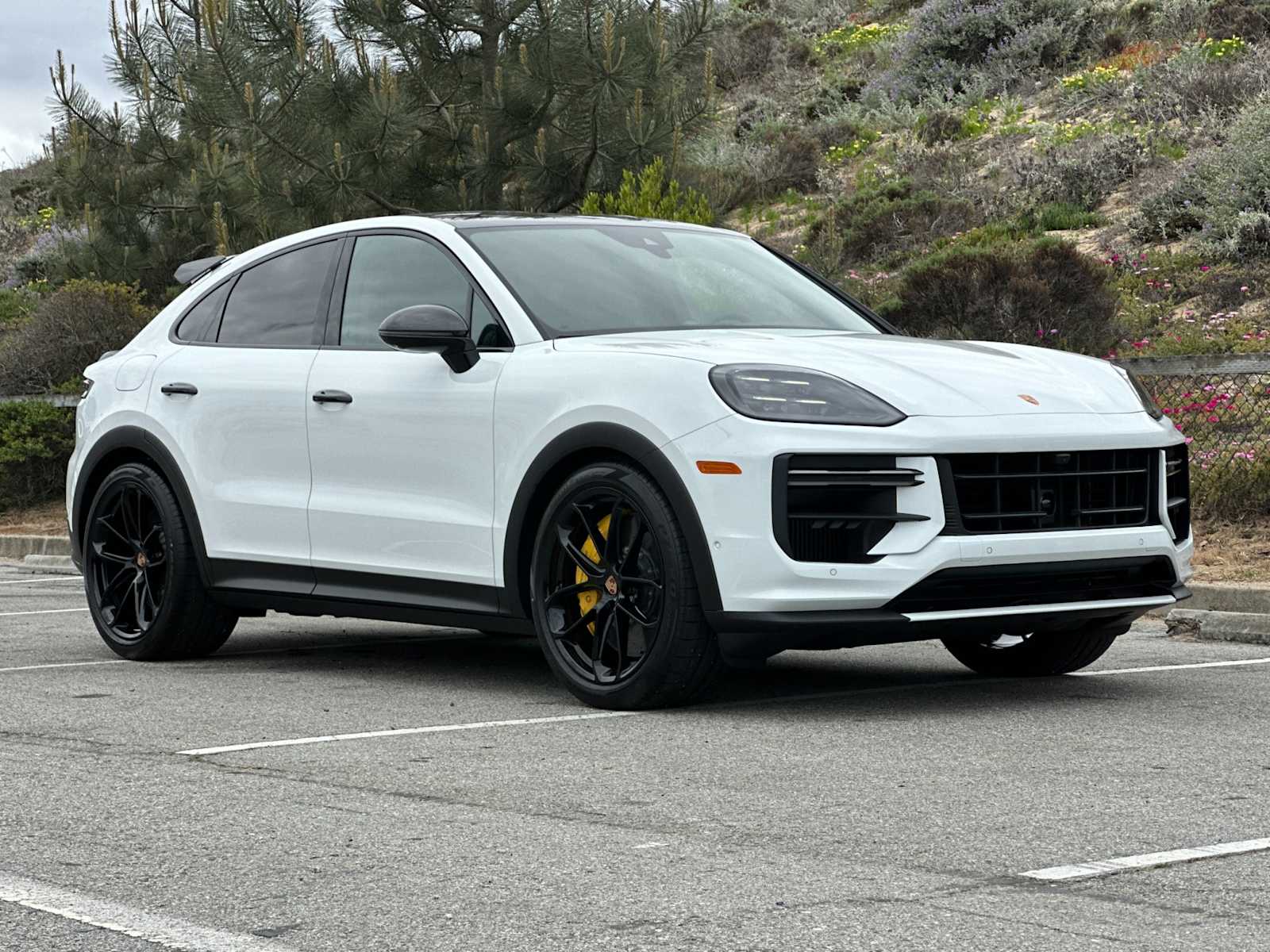 Thumbnail: 2025 Porsche  - 10
