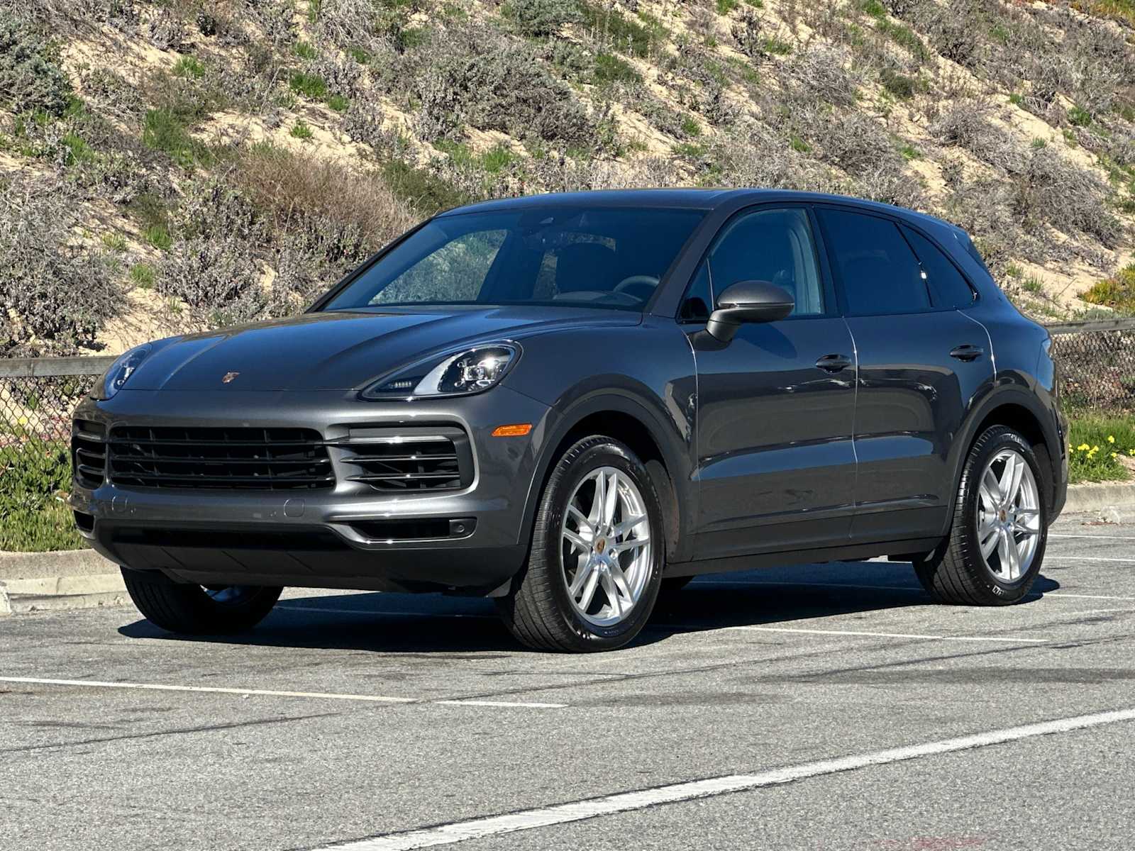 Thumbnail: 2019 Porsche Cayenne - 1