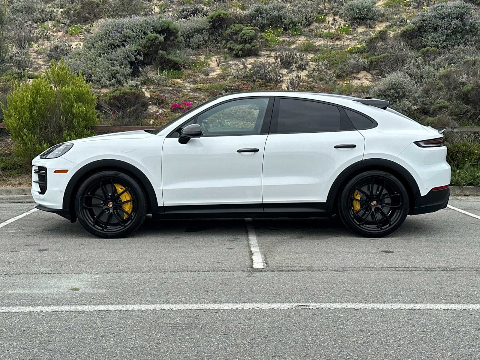 Thumbnail: 2025 Porsche  - 2