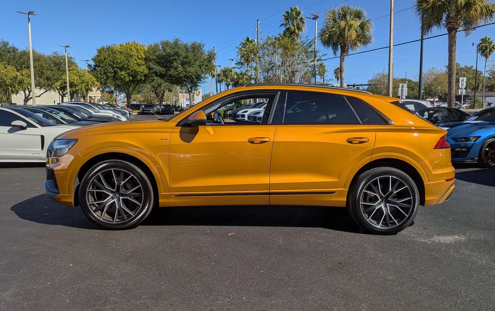 2019 Audi Q8 Prestige 55 photo 2