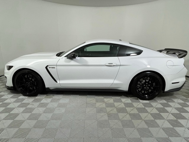 Used 2019 Ford Mustang Shelby GT350 with VIN 1FA6P8JZ7K5550874 for sale in Orlando, FL