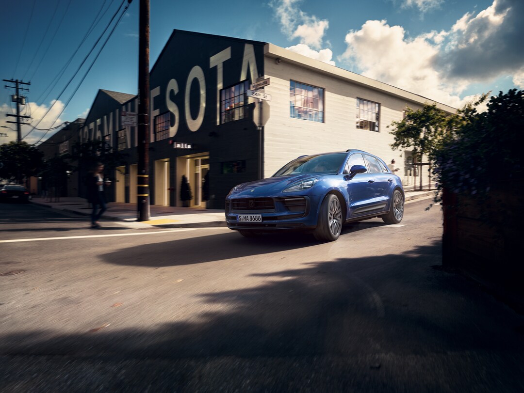 Macan near city