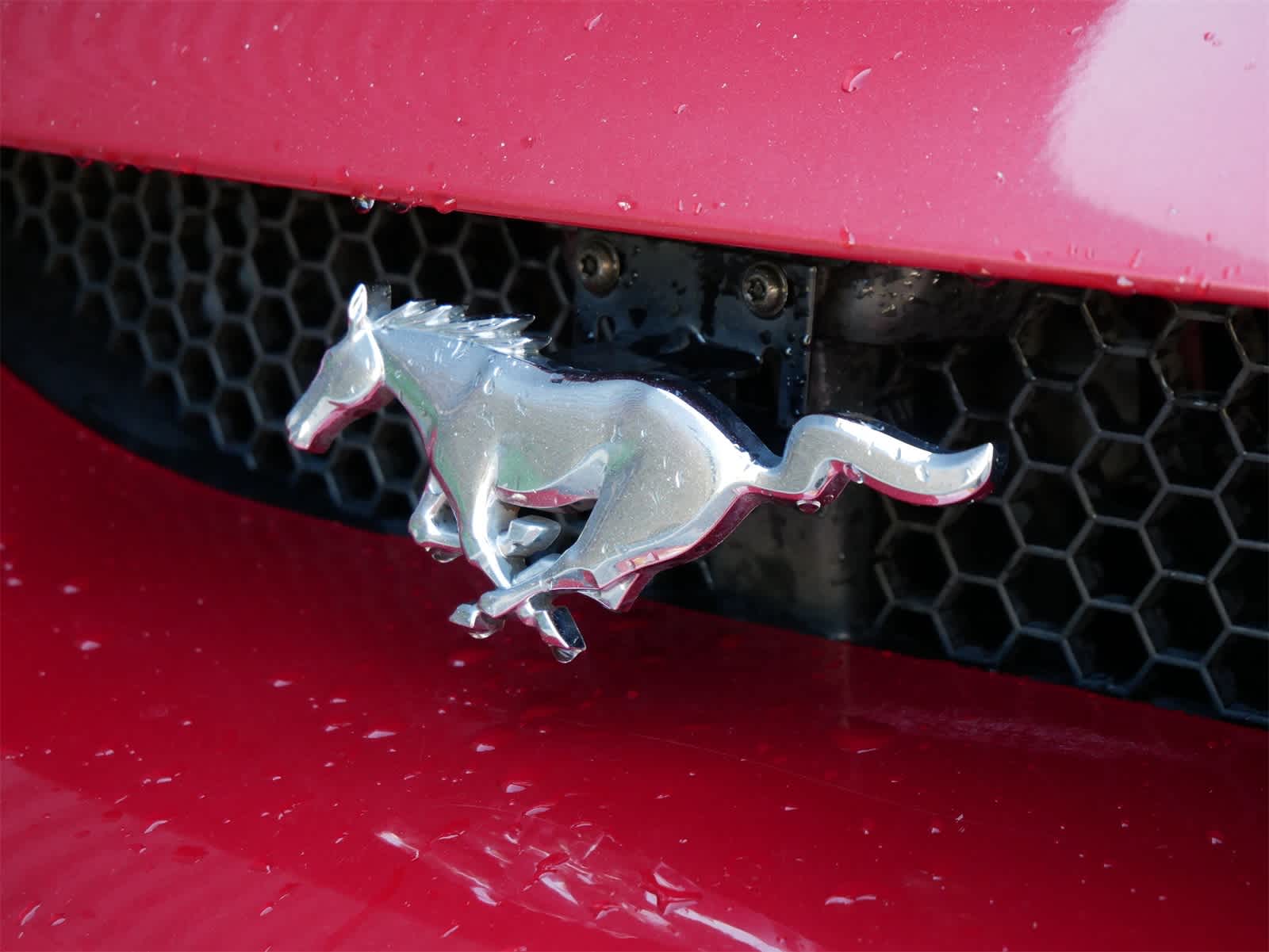 Thumbnail: 1996 Ford Mustang - 19