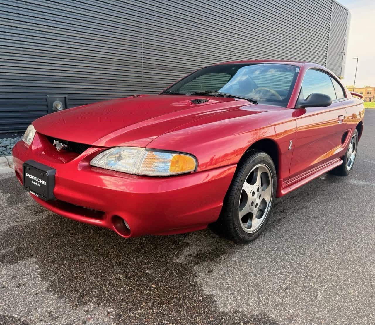 1996 Ford Mustang Cobra R -
                  Saint Paul, MN
