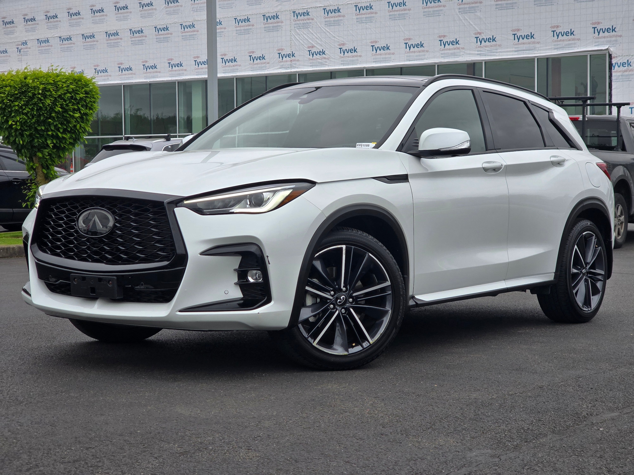 2023 INFINITI QX50 Sport AWD's photo