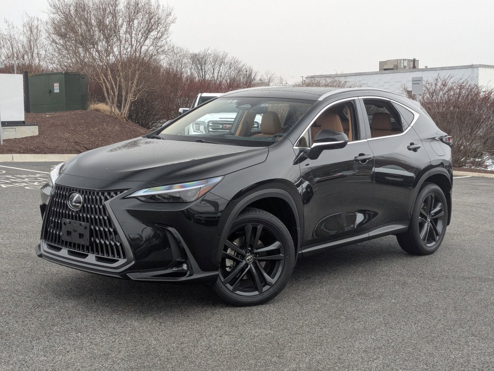 2025 Lexus NX PHEV 450h+'s photo