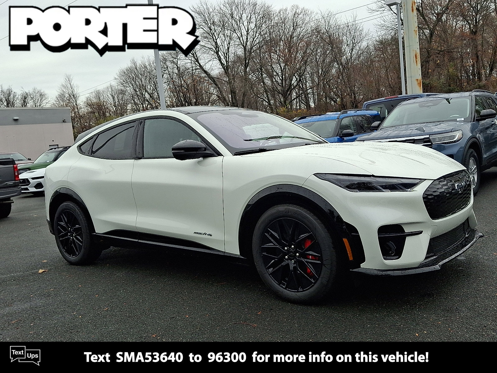 2025 Ford Mustang Mach-E Premium AWD's photo