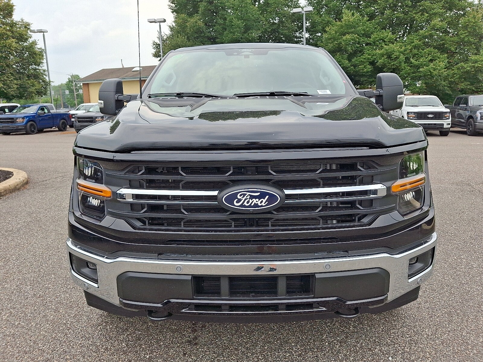 2025 Ford F-150 XLT photo 2